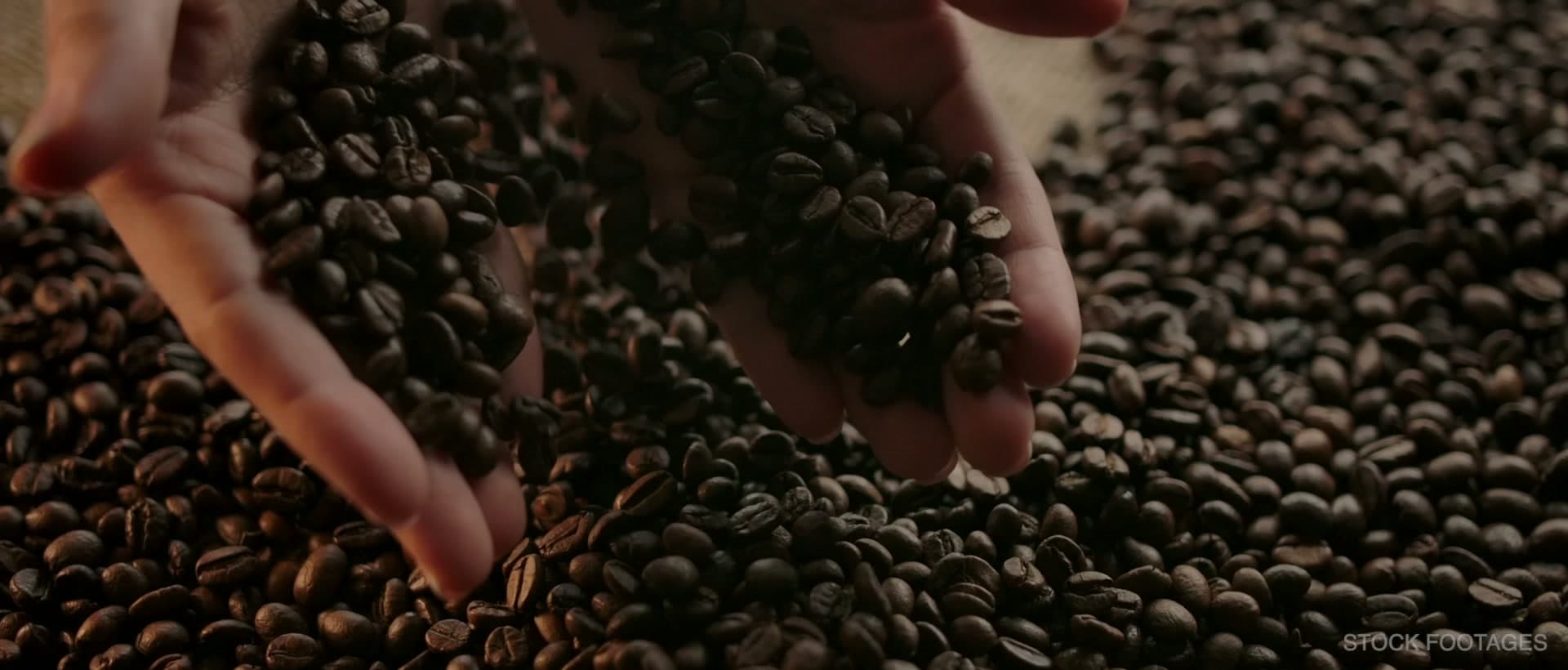 Кейс свадебной видеосъёмки — загородная свадьба с выездной церемонией